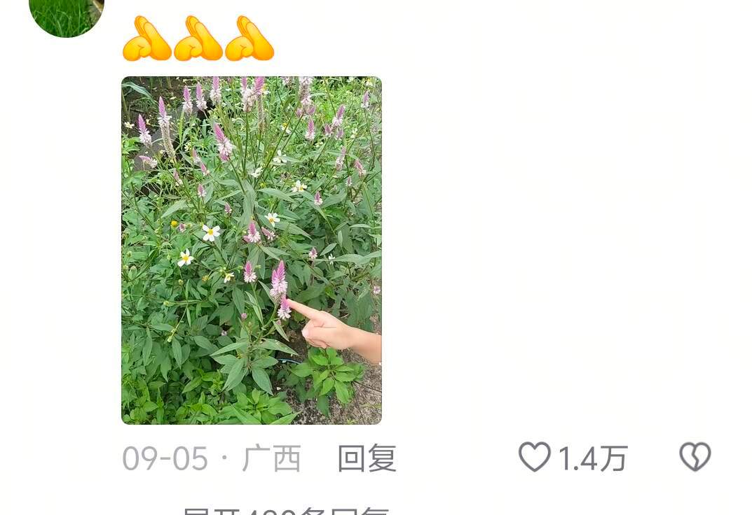 你以为进城了就不认识你了🤣