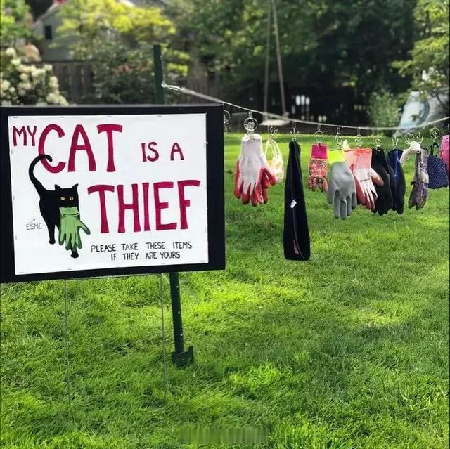 猫咪一直在外面顺东西回家，以至于猫主人不得不竖起一块牌子，让邻居们收回他们的东西