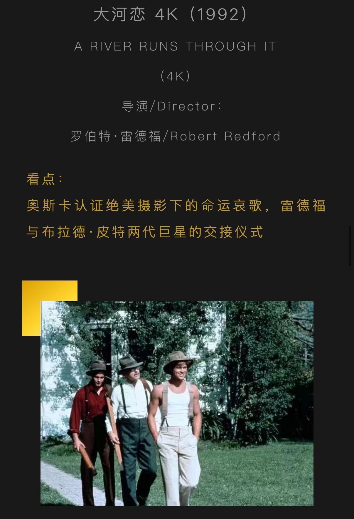上海电影节想看的电影①