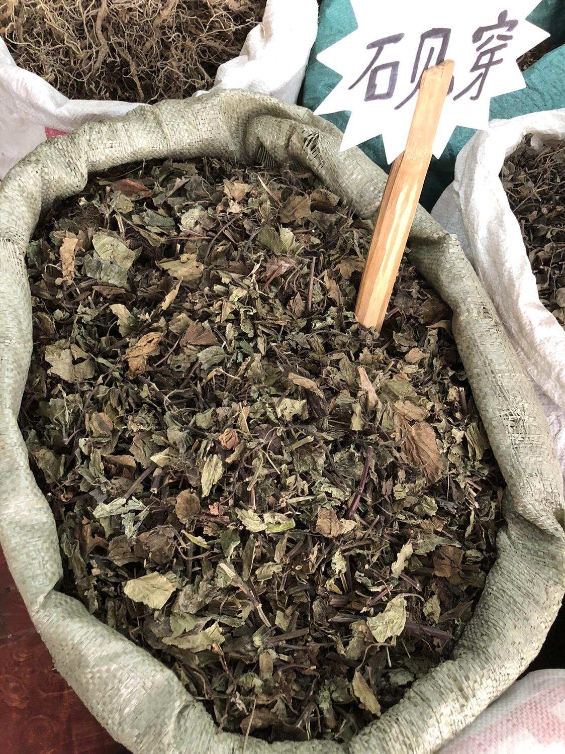 石见穿配甘草：山中奇药救命的传说在遥远的南山深处，有一种神奇的中药材叫做“石