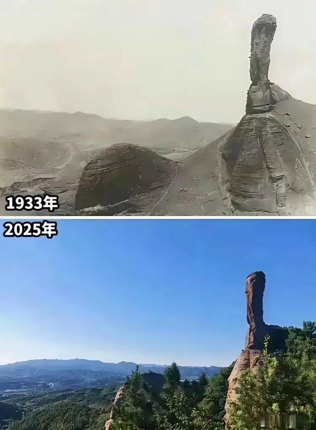 为什么以前的山上没有树？