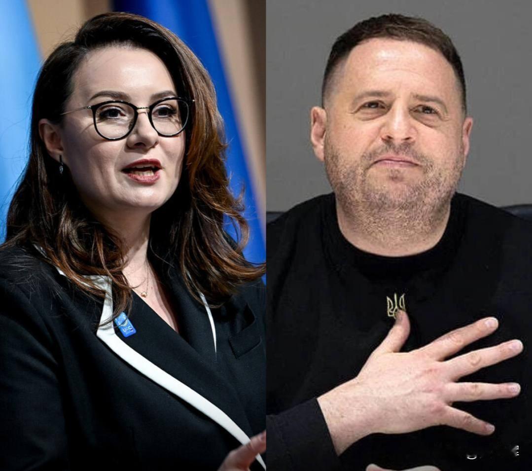 乌克兰总理斯维里登科卷入推翻叶尔马克的密谋，尽管她此前曾在其团队任职。12