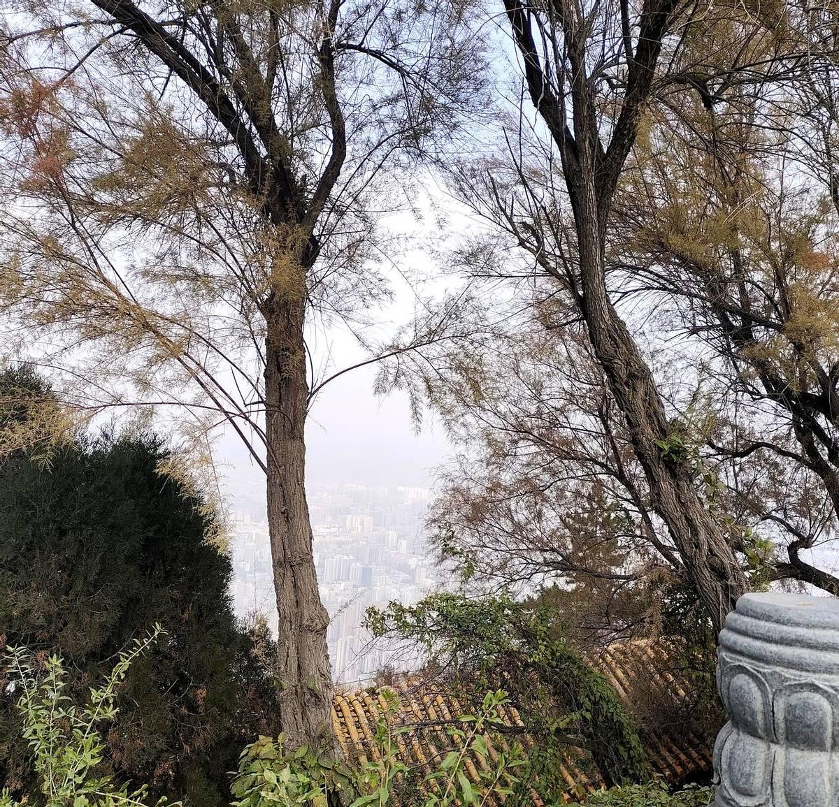 刚刚刷到河南有很多人被一家诈骗公司所骗，一千多人，几十年省吃俭用积攒的家底，一夜