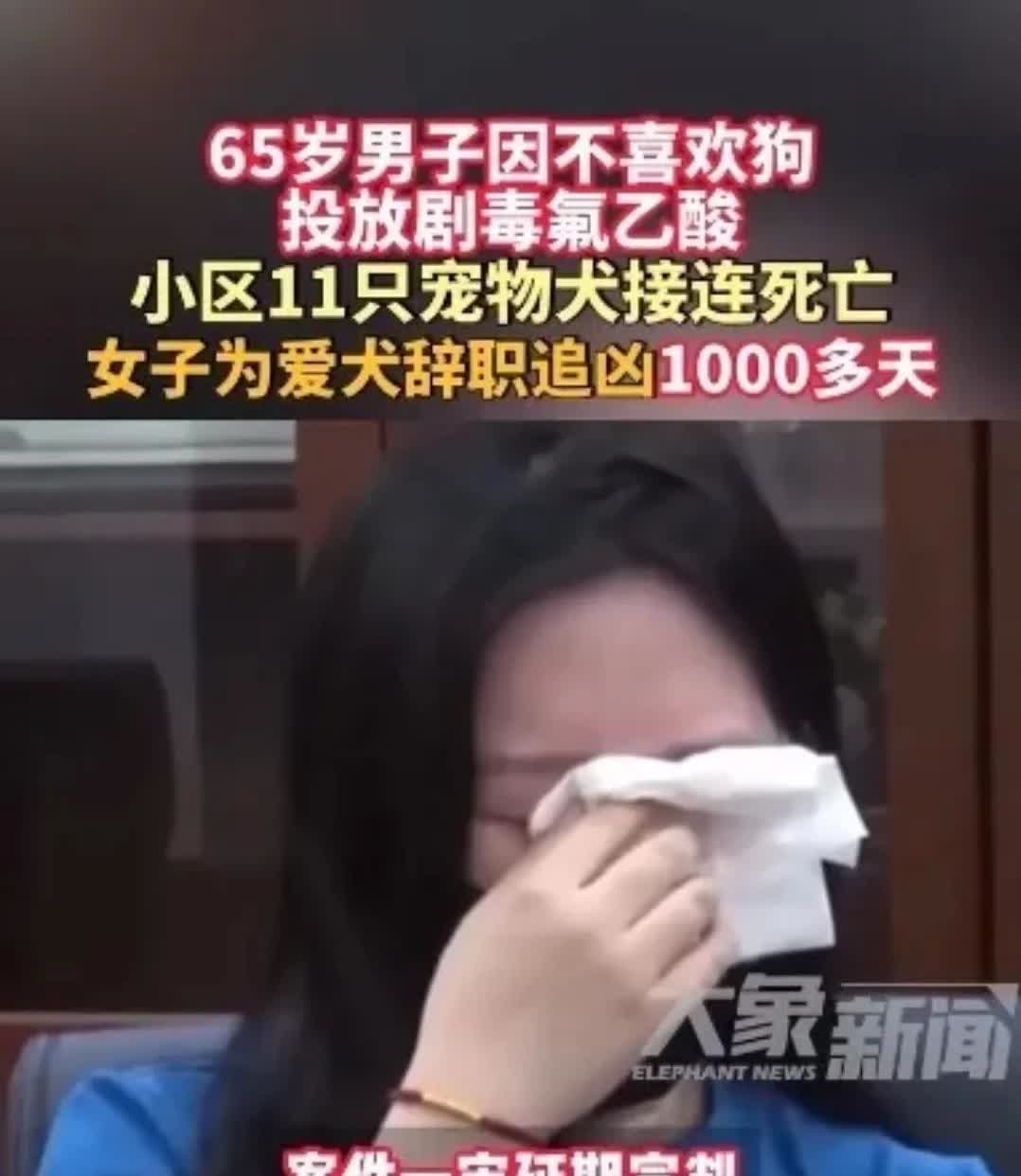 为了宠物，连工作都不要了，北京一小区因宠被毒杀，女子辞职追凶三年终见分晓