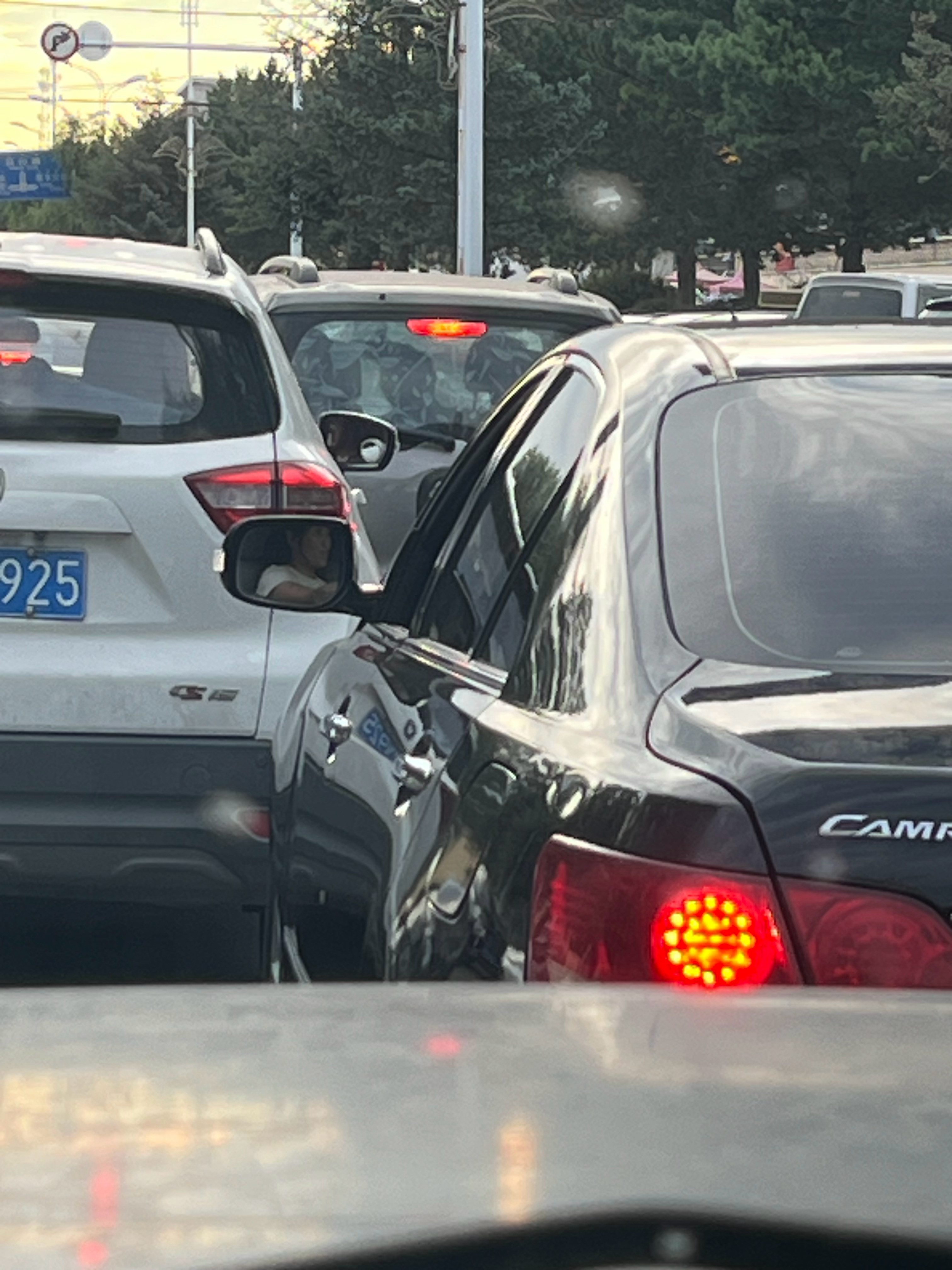 一条在红绿灯前面玩手机的龟速母狗​​​