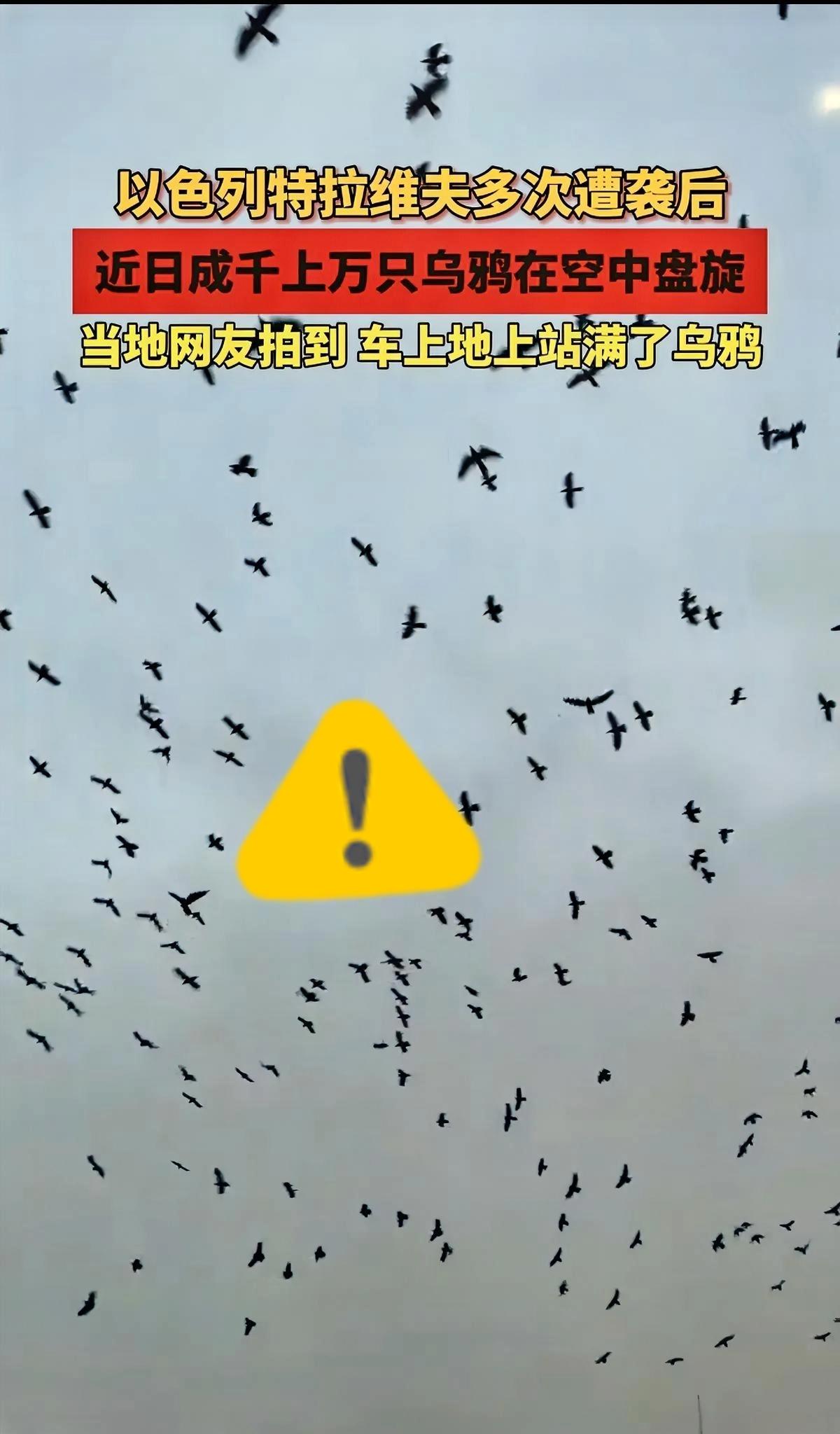 以色列这波，怕是真要应验了！特拉维夫上空黑压压的乌鸦盘旋，这景象看着就