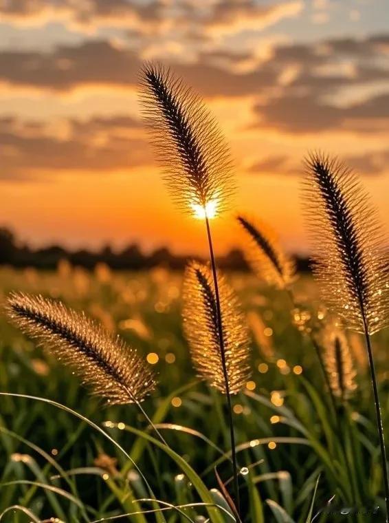 人这一辈子，真就像手里攥着的一本书。翻得太急、太不经意，好多珍贵的瞬间就