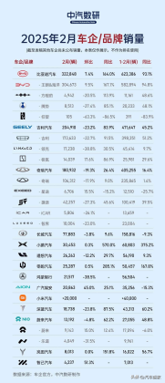 比亚迪: 2月逆势上扬, 多个细分市场 “销冠” 频出