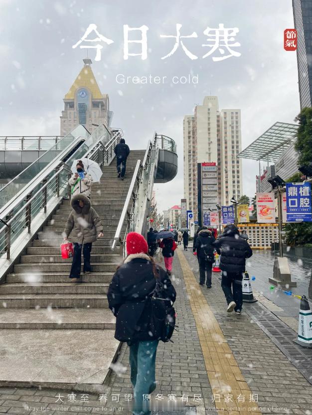 上海下雪哇塞上海都下雪了大寒节气嘎嘎冷