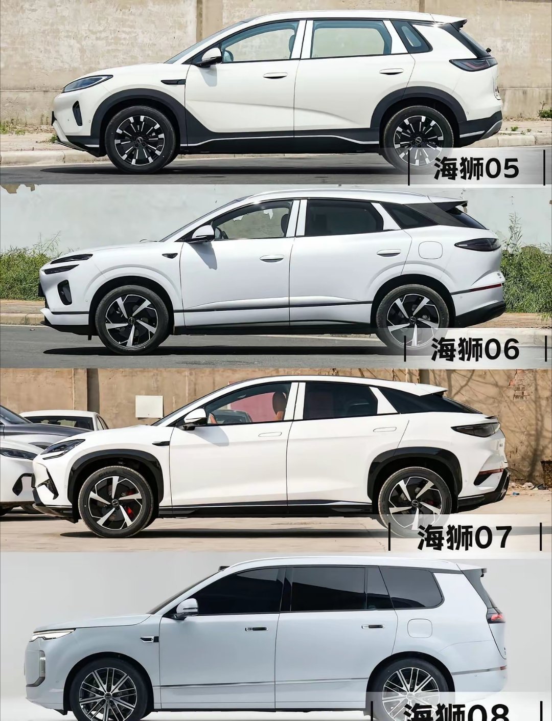 🚙比亚迪海狮5678都集齐啦我们都知道比亚迪海洋网-SUV系列是系海狮命