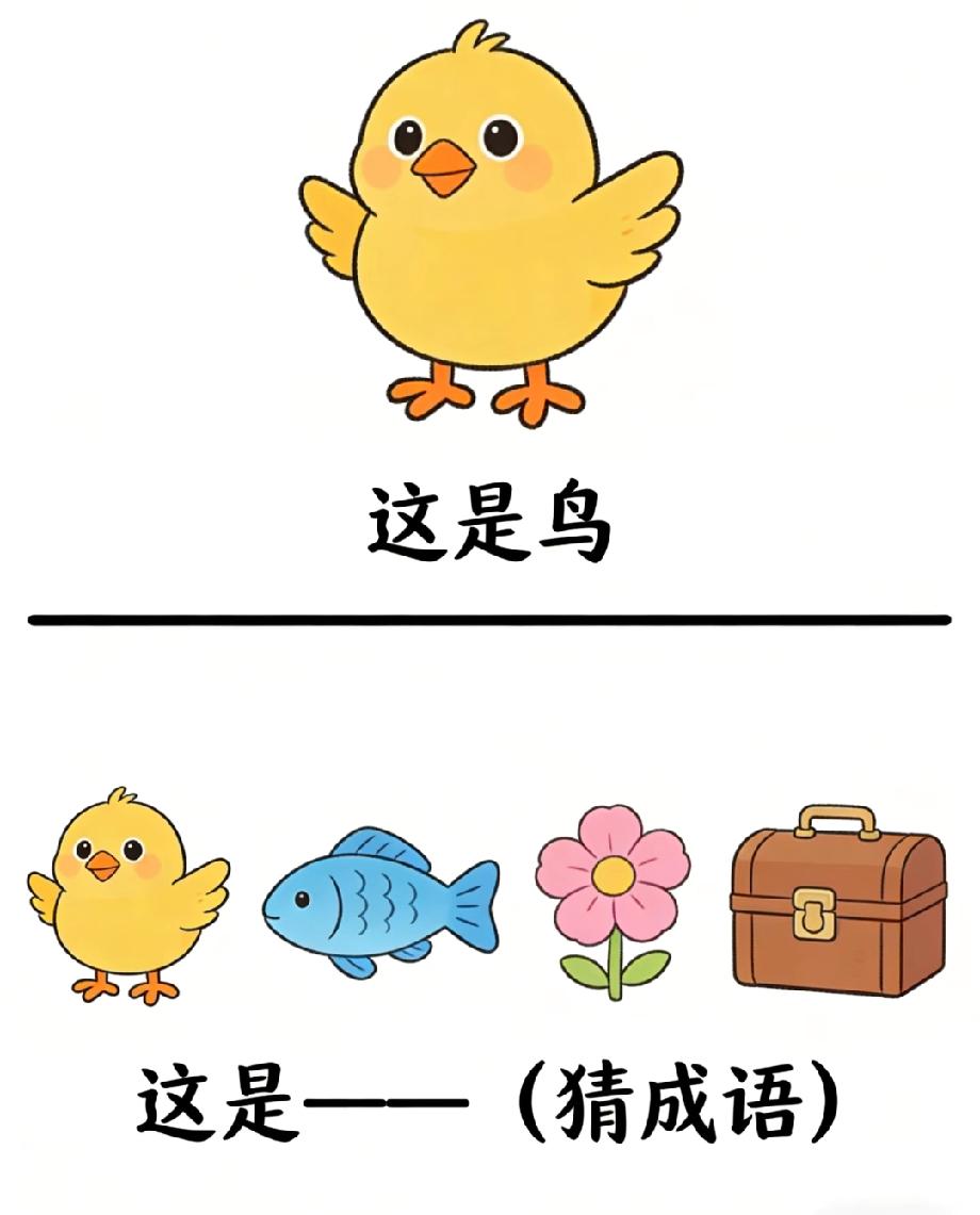 小鸡是鸟，那小鸡+鱼+花+包是什么成语？
