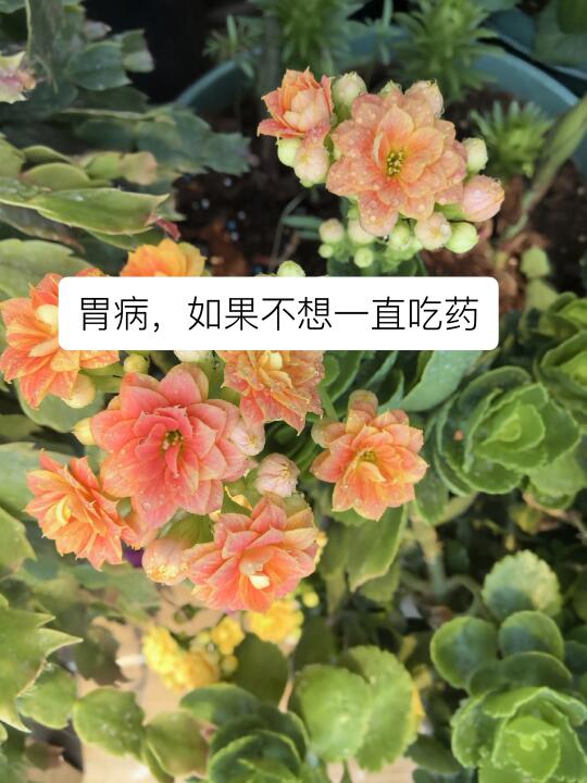 胃病，当吃药效果不理想时