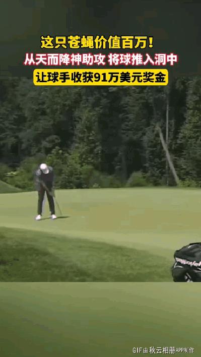 这只苍蝇价值百万！从天而降神助攻，将球推入洞中，让球手收获91万美元奖金