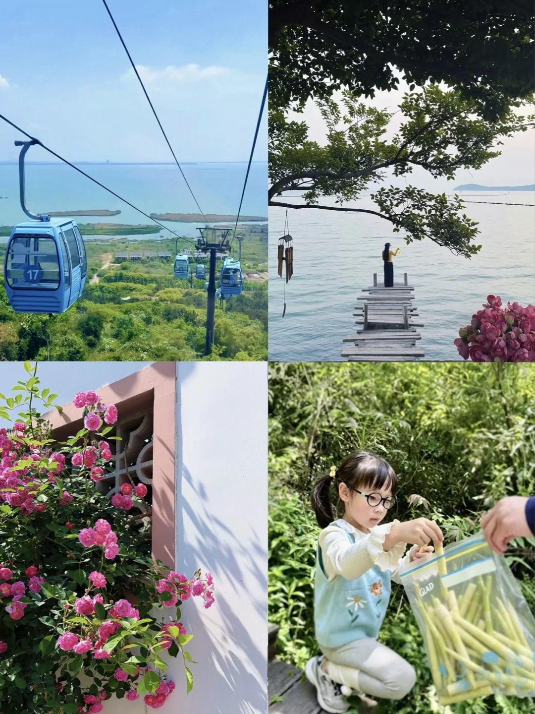 被问爆了‼️不是洱海是太湖🚄30分钟直达