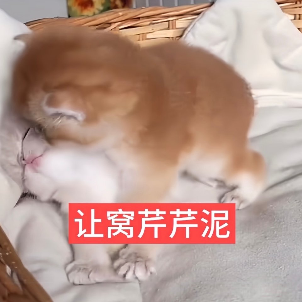 每天都在幸福中醒来！小婴儿的笑太纯美了！摸摸下巴抿成小鸭嘴，点点脸颊又绽开笑脸！