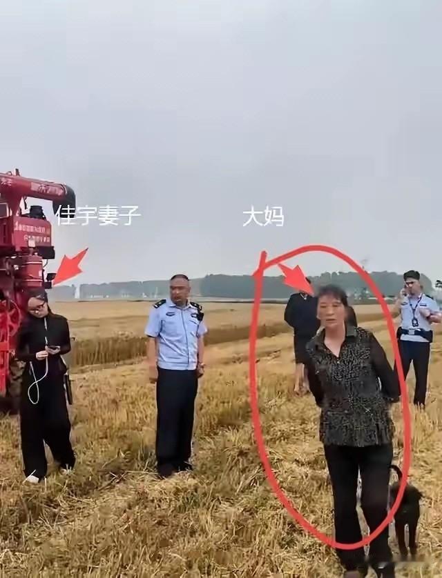 终于明白河南小夫妻出省收割小麦结尾，“割四赔五”这网络新词硬生生撕碎了湖北人的
