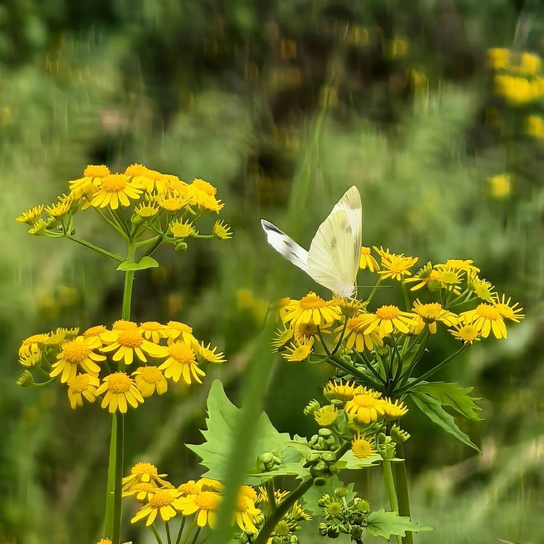 生命如此美好，世界如此美妙，大家要多多出门，多多观察外面的世界啊