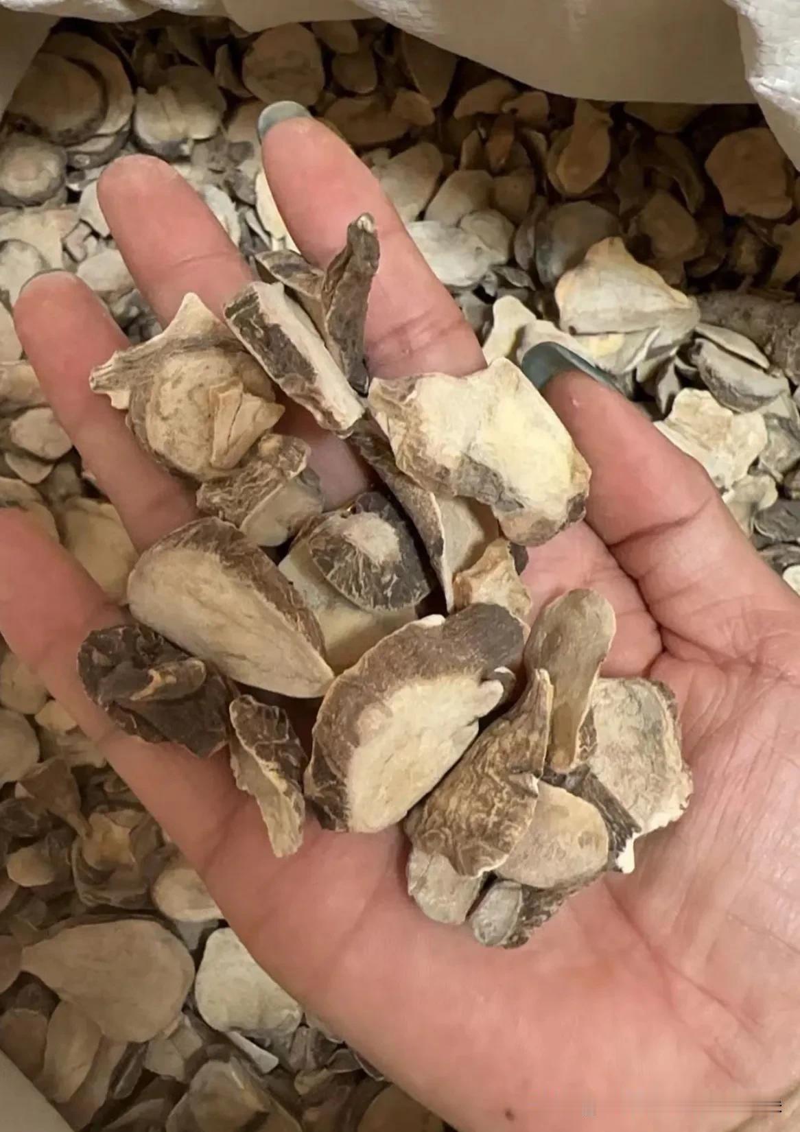 3毫克致死！央视刚曝光，亳州连夜出手！这种“毒药材”千万别再买1元链接背后，