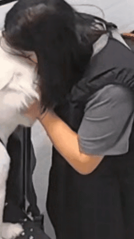 女士与狗狗亲嘴被狗咬嘴，鲜血直流。不做好人狗都嫌弃：“躲开你那张臭嘴”！