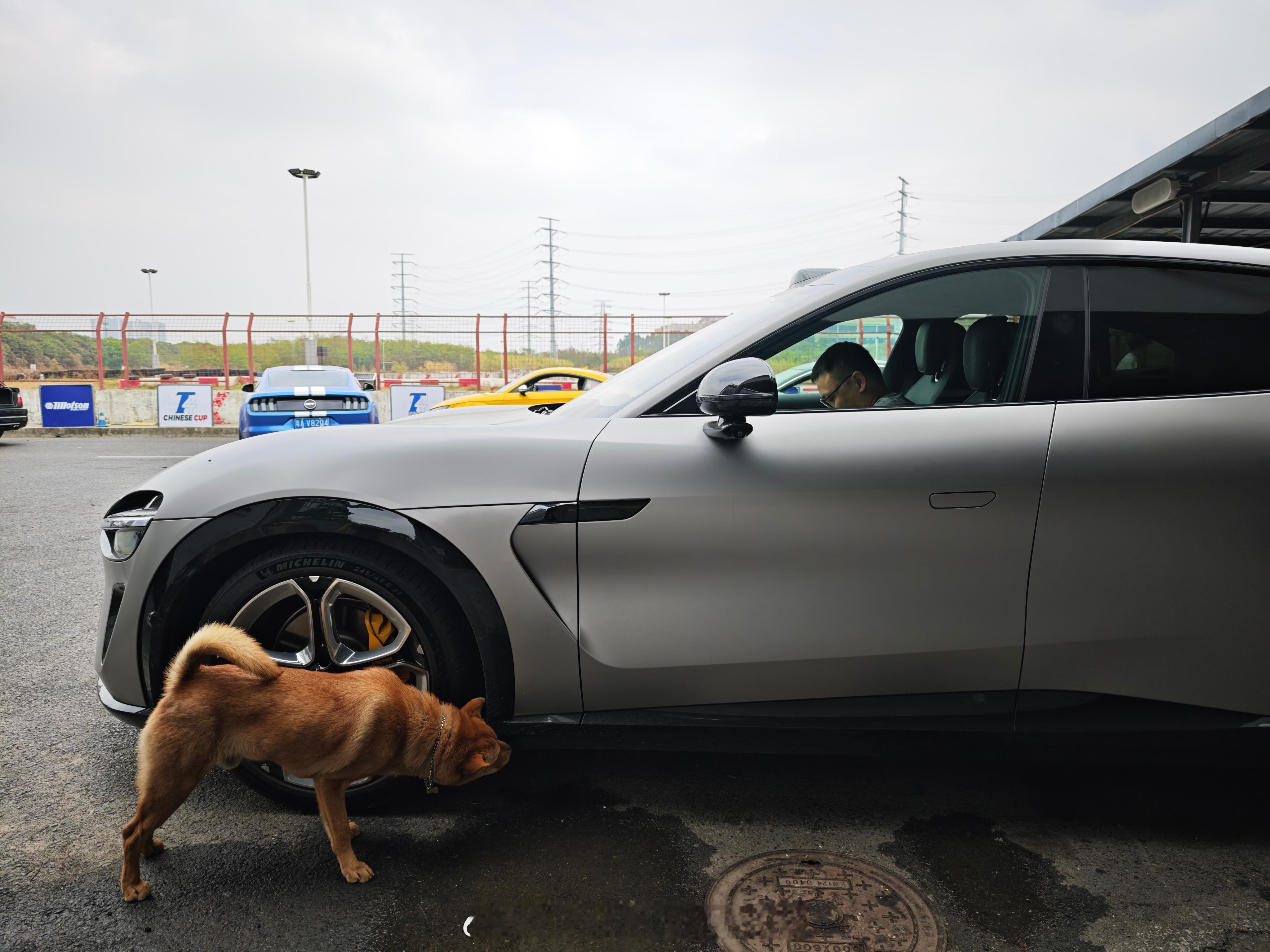 卓哥的小米到底有什么魔力？狗子闻完前轮闻后轮