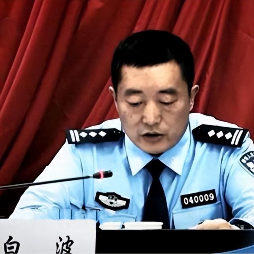 白天扫黑英雄，晚上黑道帝王！白波覆灭记，正义从不缺席白波从警校毕业，从禁毒民