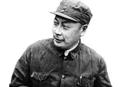 1963年，陈毅在成都街头散步，一个扎羊角辫的小丫头突然拦住他，仰头就问：你是大