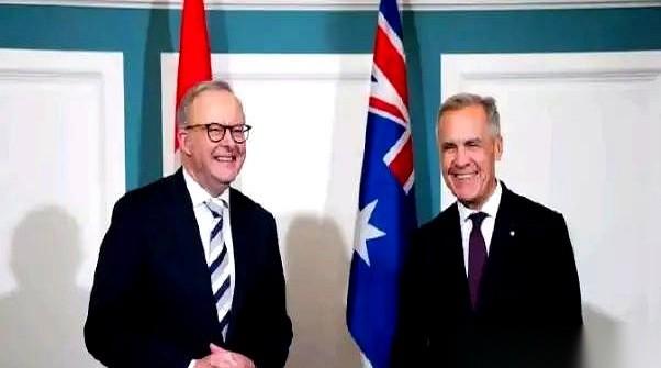 澳大利亚总理阿尔巴尼斯，直接把话筒递给了加拿大。他当着所有人的面官宣：“我同意