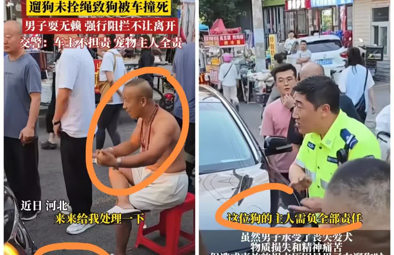 这杜宾犬事件刚刚结束，就又出了一起遛狗不牵绳的，这倒不是大型犬，但是他竟