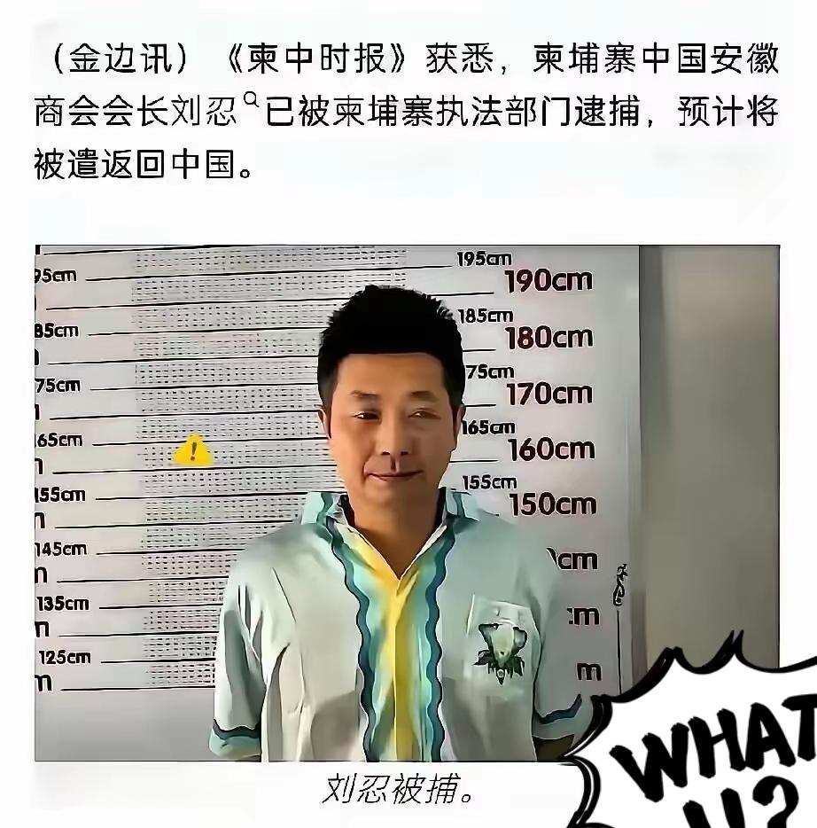 最可怕的内鬼终于浮出水面！柬埔寨电诈园区的幕后大佬，竟然是我们信任的商会会长。把