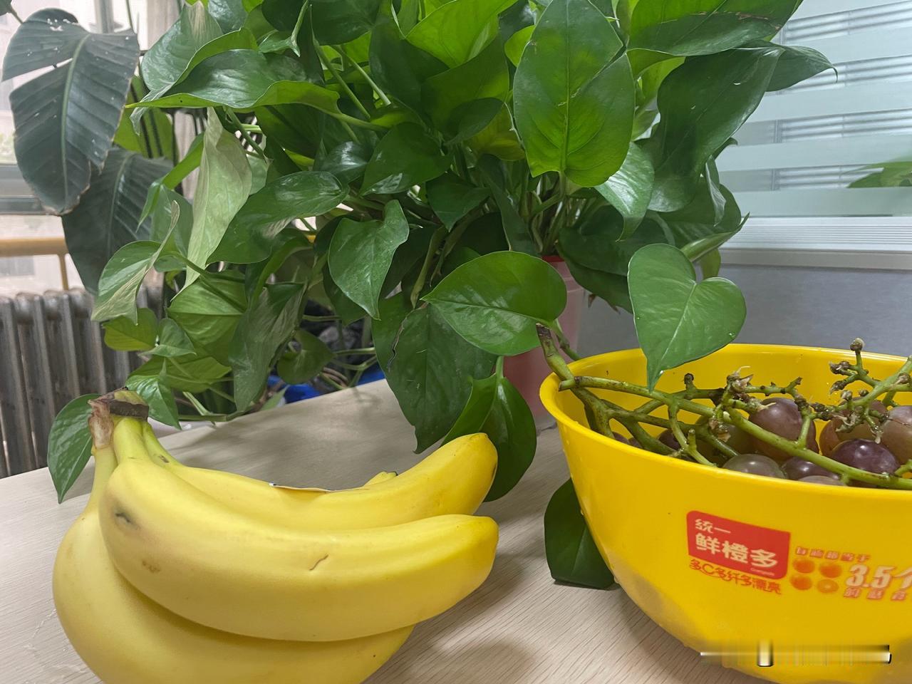 洗车大叔喊我：“小美女，你的车洗好啦”这让有点不好意思哈，我不小了也不美了，