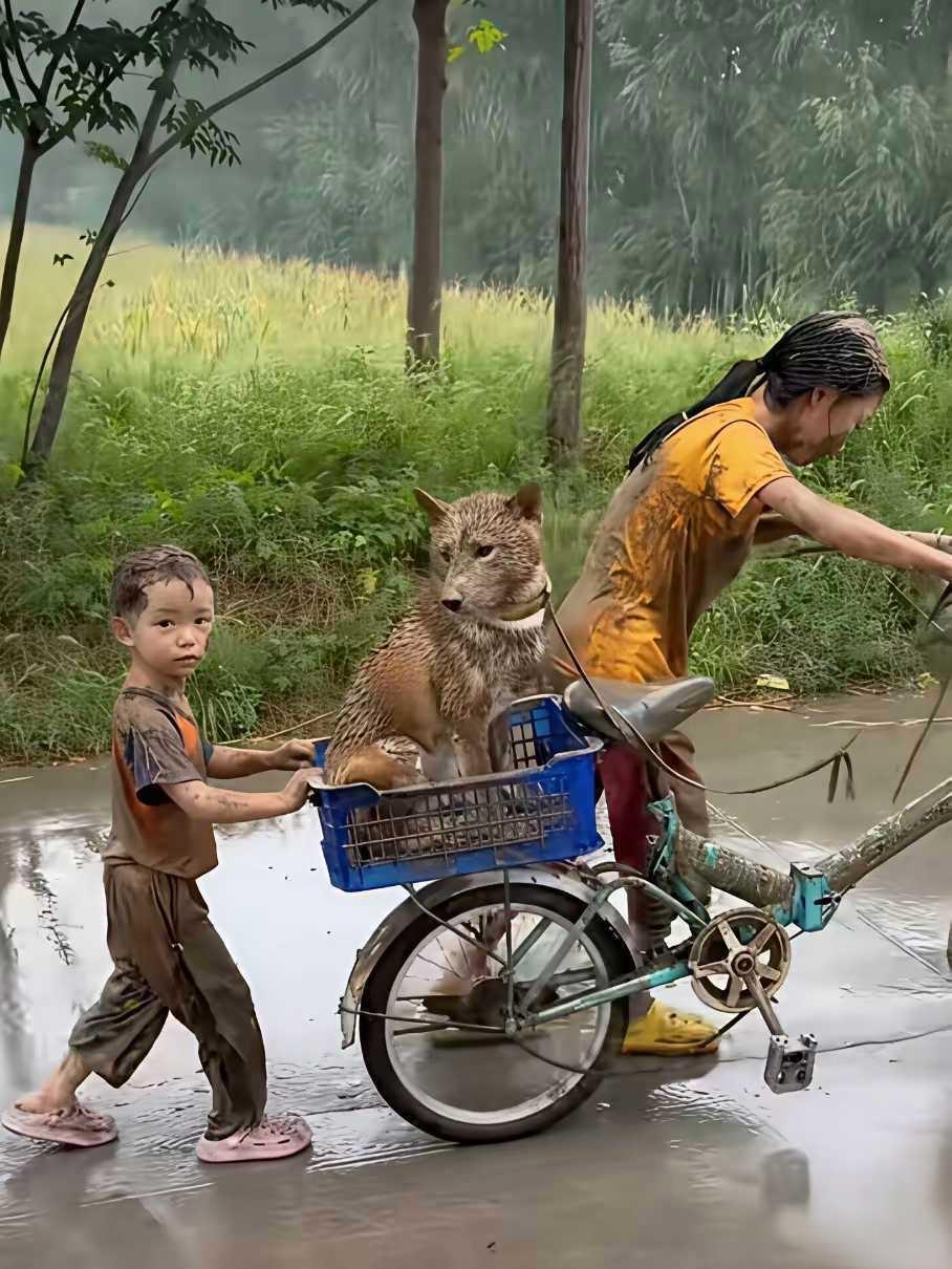 这还有的要吗