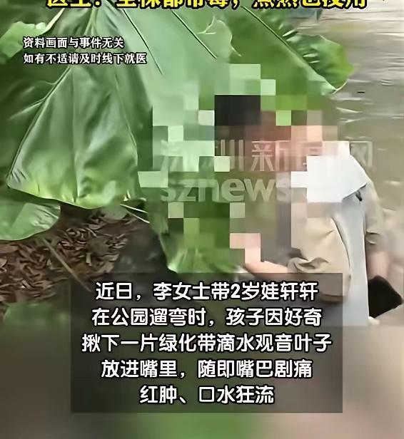 5月30日报道，广东深圳，一2岁宝宝在公园玩耍时，妈妈一个没看住，他就吃了绿化带