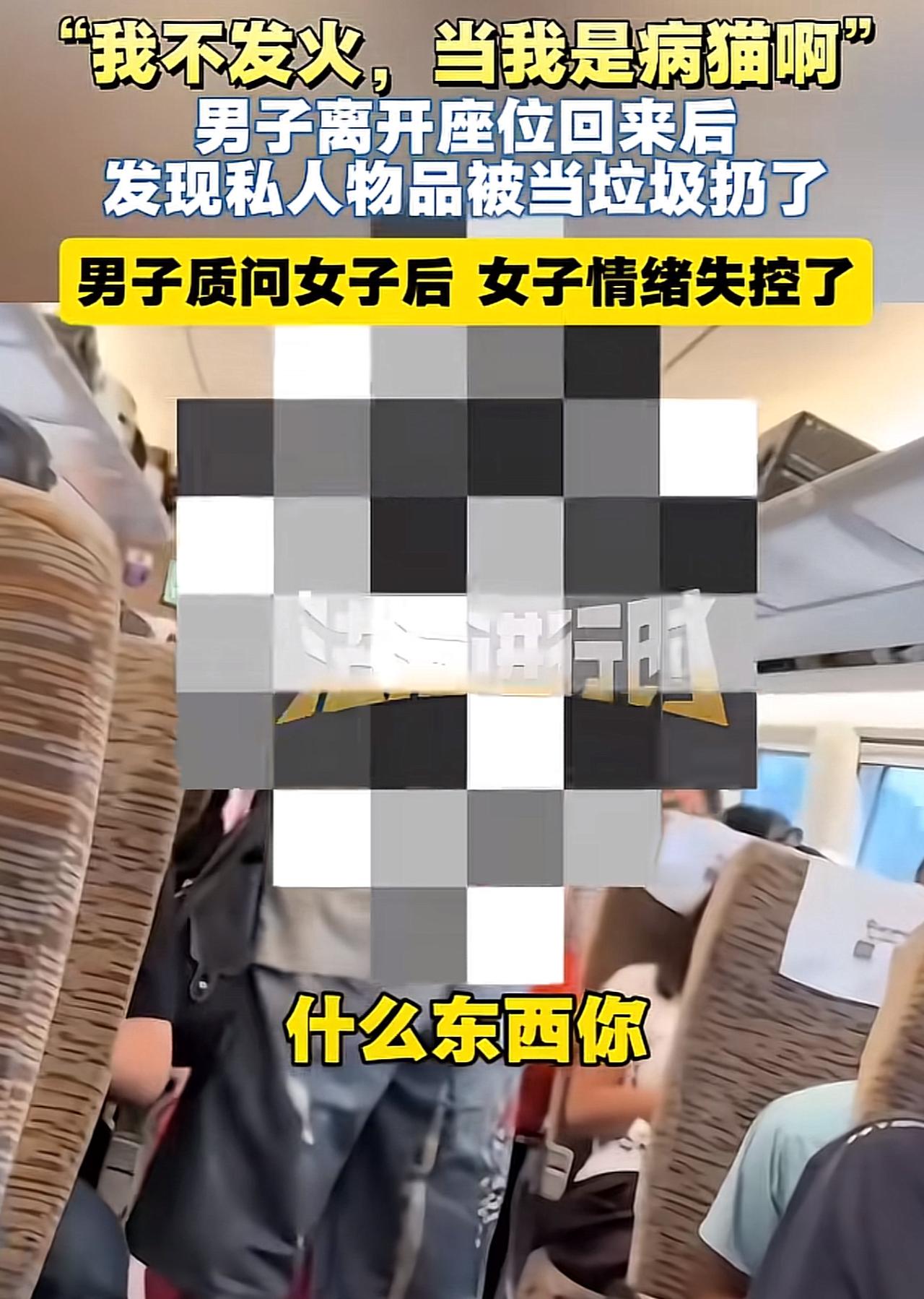 “不是谁动静大，谁就有理！”高铁车厢里，一个女的冲着男乘客歇斯底里地吼。2026