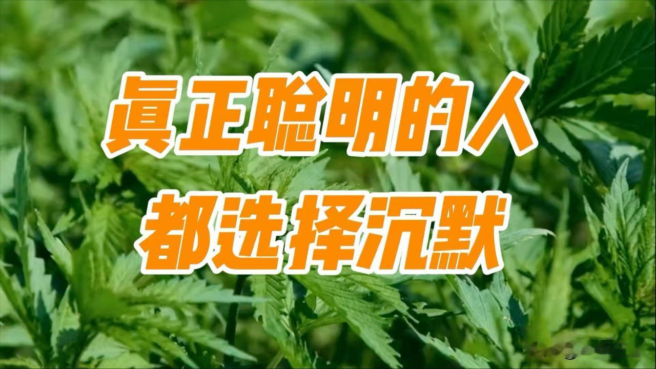 我们身边总有这样一种男人：他们平时话不多，不喜欢凑热闹，不喜欢跟人争辩，更不会到