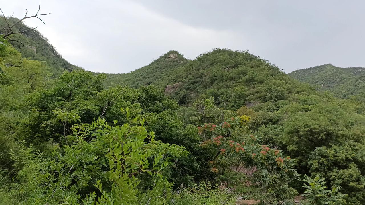 这里是河北涉县西达镇的士沟口村，它隐匿于后匡门村正北方3公里处的山峦深处。由于此