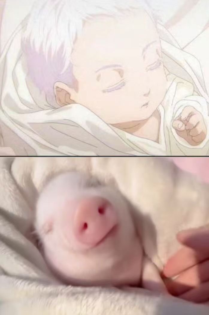 这完全是宝宝……