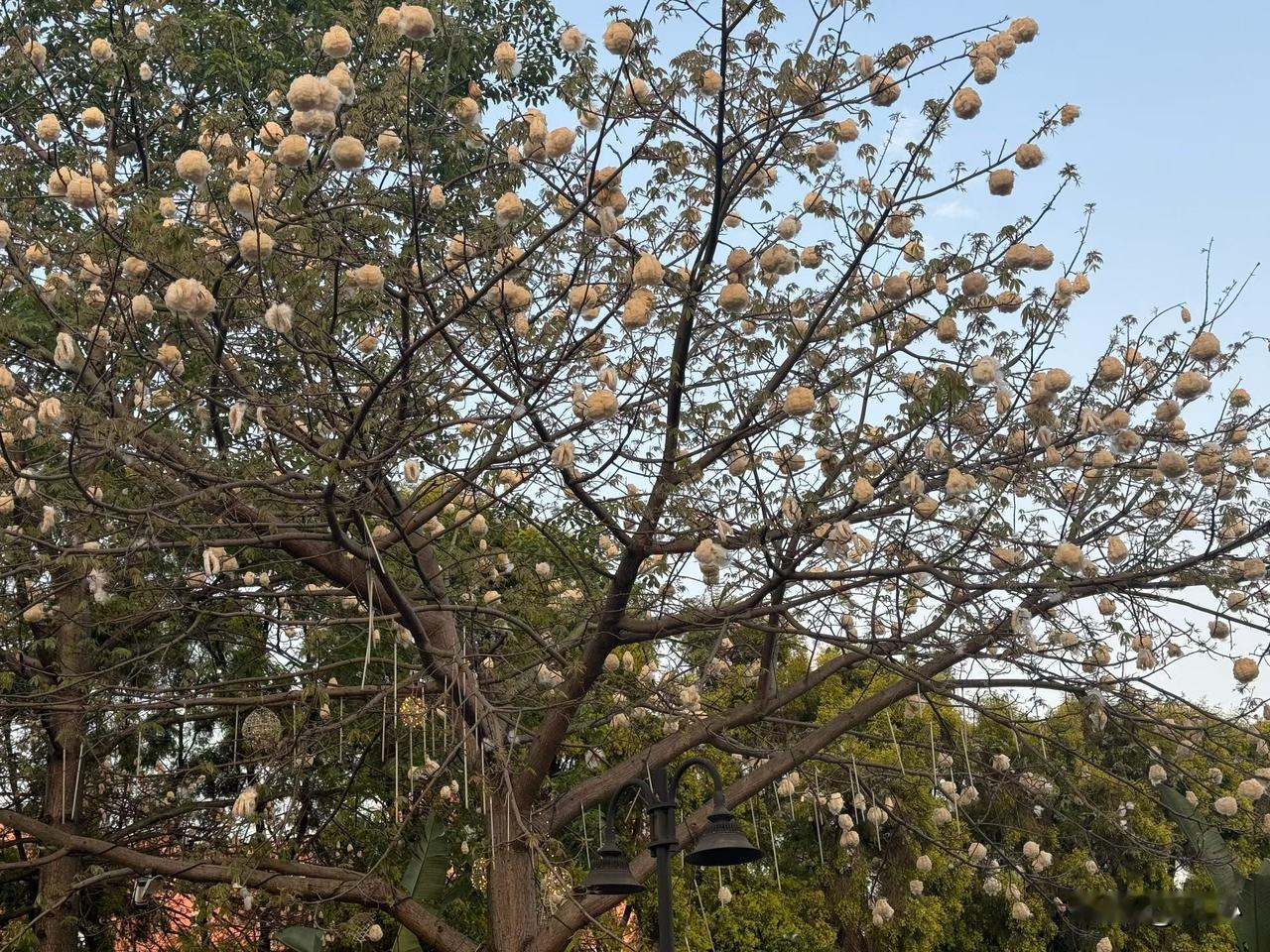 逾期第444天老公被冻结所有支付账户后，已到走投无路的难处说实话，这段
