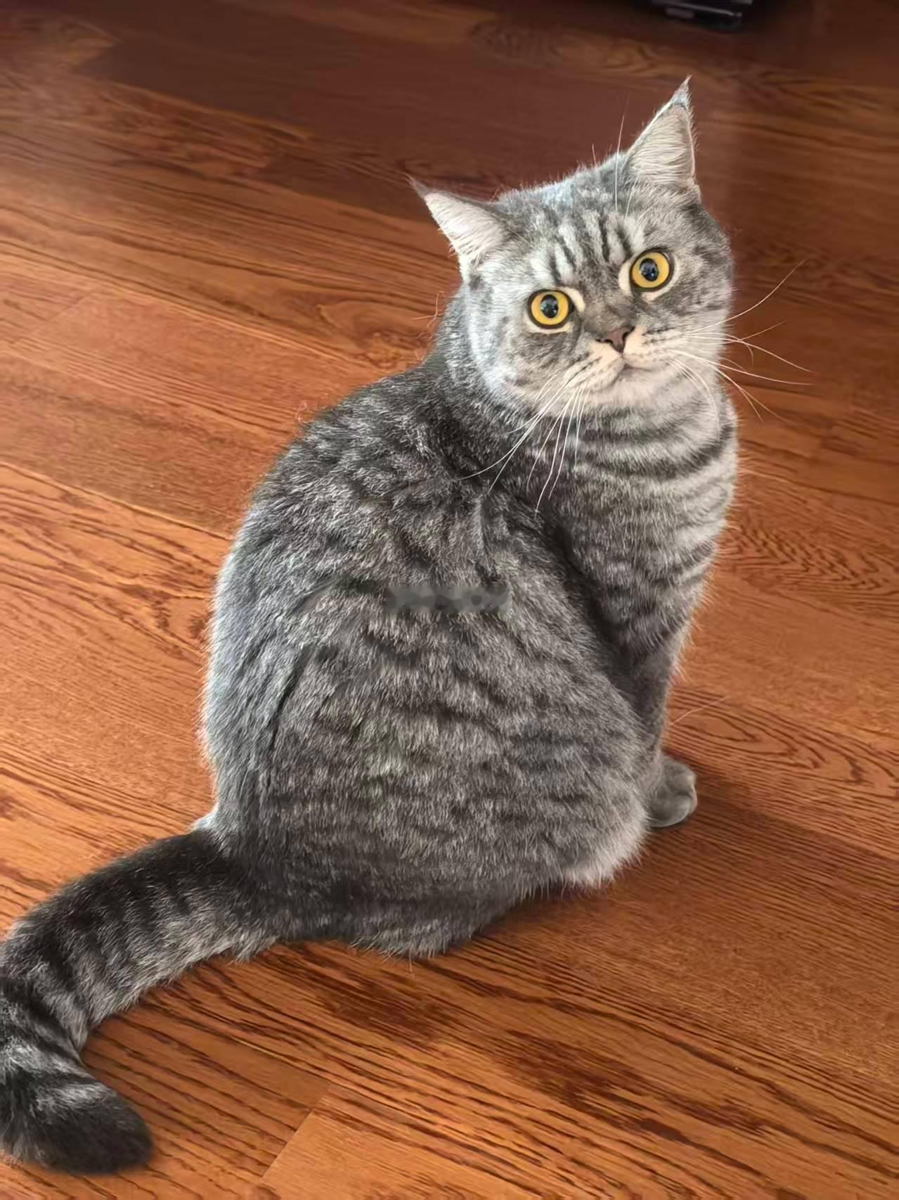 好可爱哦，卡哇1️⃣