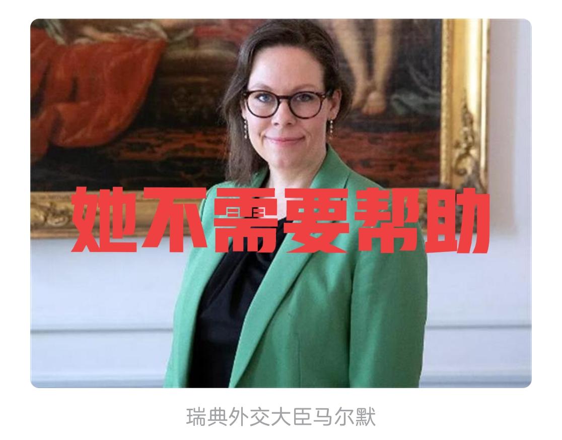 瑞典人的智商堪忧。从环保少女，到环保少女的妈妈，到瑞典的女外长，她们在做事情的时