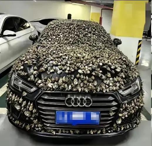 “一分钱不要，也得让你长记性！”业主车位被霸占10天，一怒之下做了这种事。他没有