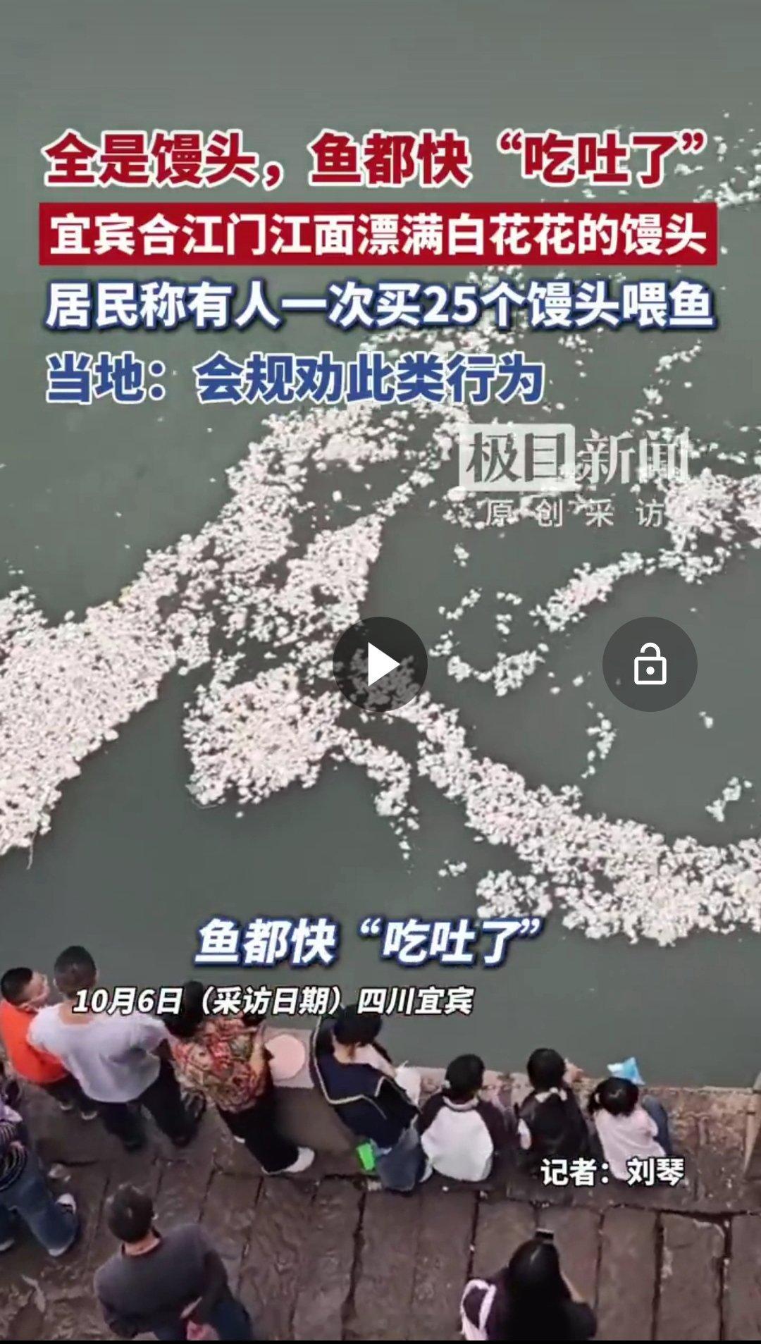 离大谱有游客一次买25个馒头喂鱼鱼都吃撑了……​​​