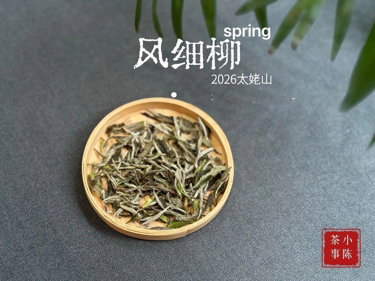 红汤白茶，为什么不能喝？白茶是微发酵茶，工艺质朴，汤色多为浅杏色、浅黄色，整体