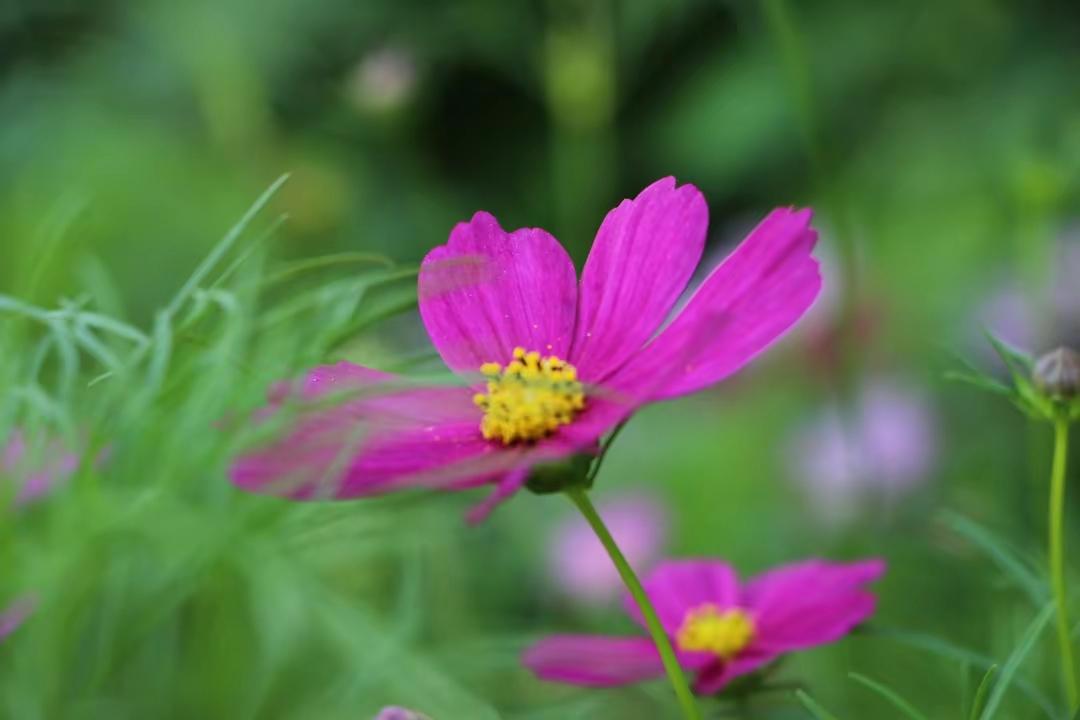 春节过完，54岁老年人的4个教训：1、捂住钱包，保住养老钱比面子更重要因