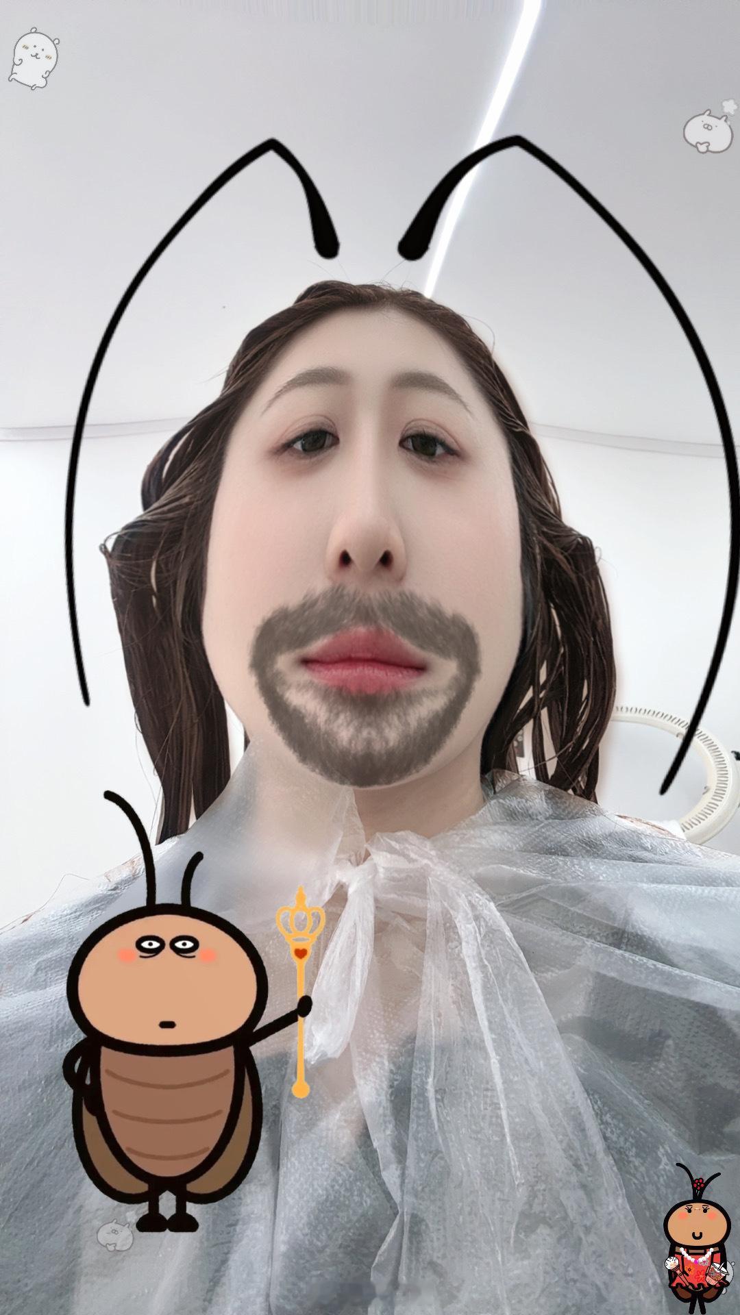 瘦了细狗了​​​