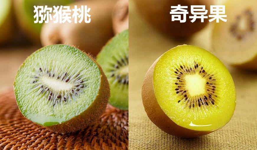 这几种食物是同一个东西吗? 你能分清几个?