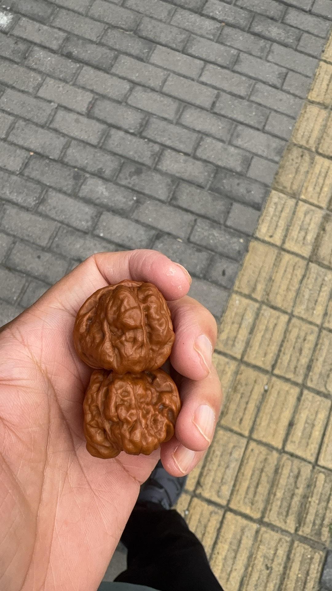 鲁比奥：中美之间任何冲突都是灾难，必须管控局势！是美帝频频对我挑起事端，加剧局势