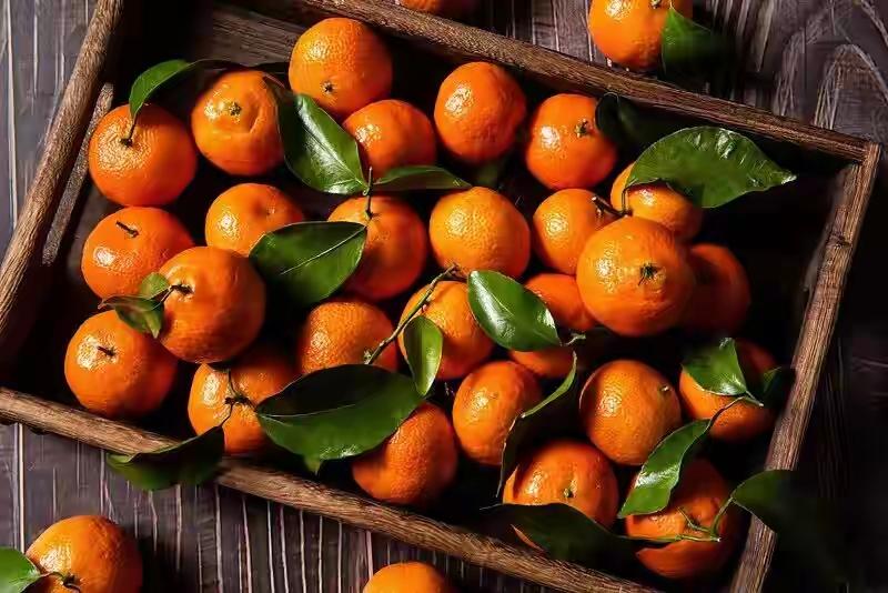 一口砂糖橘=甜蜜炸弹？别和这5类食物同桌，否则胃在求救、钱包在流血！1️⃣