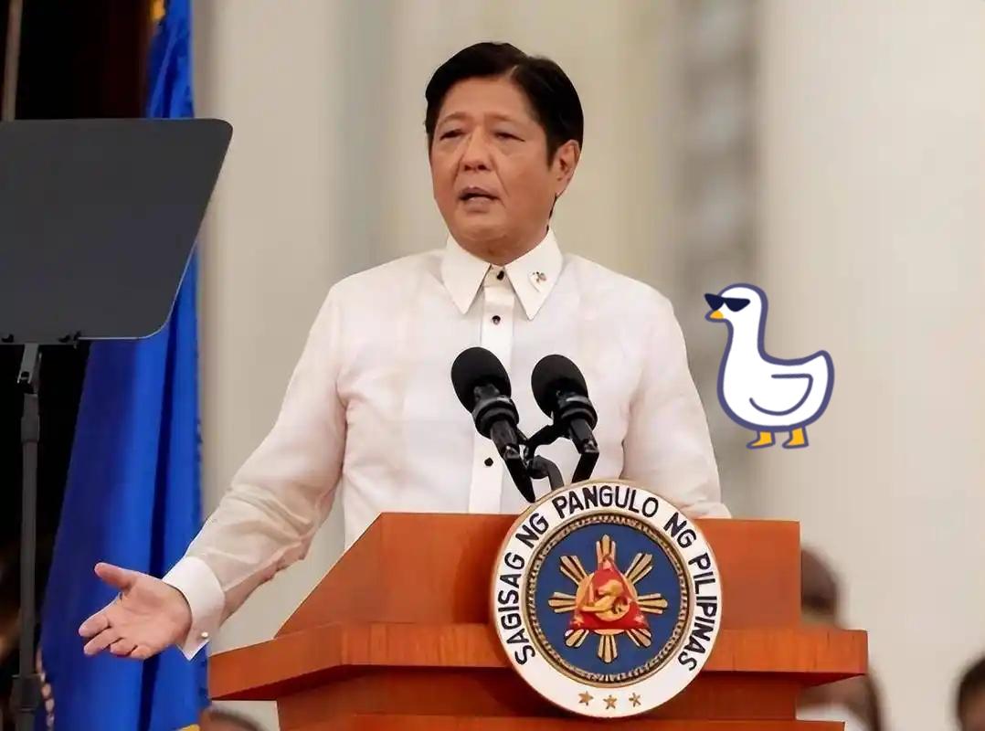 快报，快报菲律宾正式宣布11月9日，菲律宾国家减灾委传来揪心消息，台风“海鸥