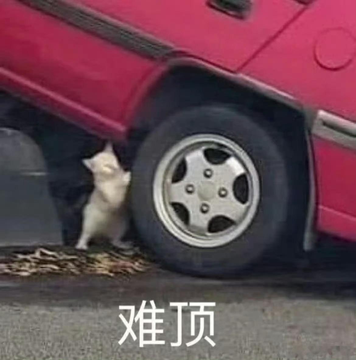 李想称汽车不能像手机一样换代我表示我很同意这个观点！汽车不能一年一换代，这是车，