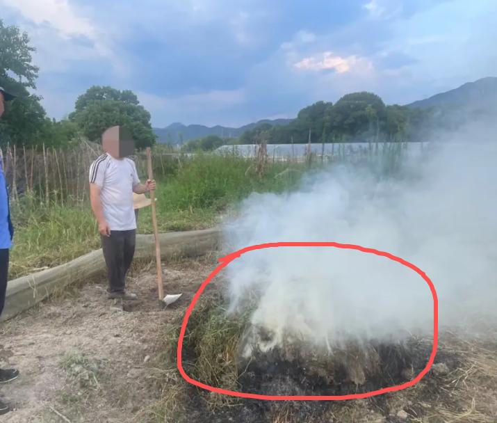 9月16日，河南某地，53岁的贺女士在自家菜地烧了约1平方米杂草。第二天，行政执